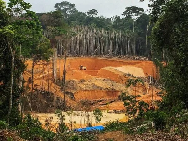Amazon Minamata(GoldMining scars)4