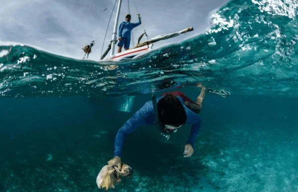 MARBRASIL Pesca03 lucianocandisani.com