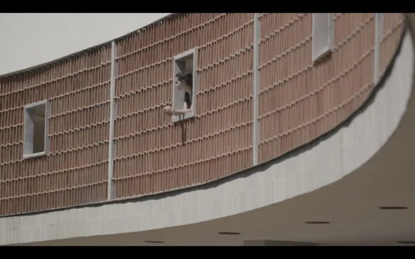 Quando o Brasil era Moderno still